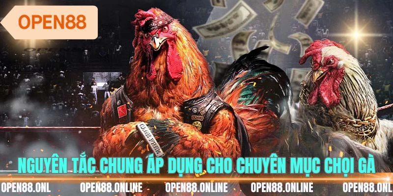 Nguyên tắc chung áp dụng cho chuyên mục chọi gà