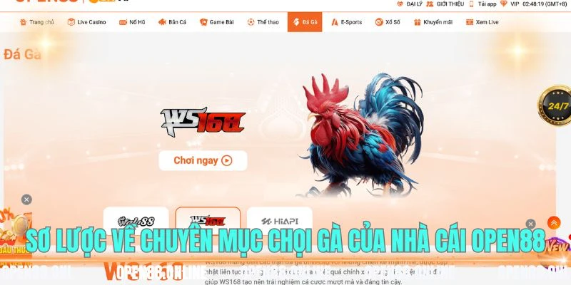 Sơ lược về chuyên mục chọi gà của nhà cái OPEN88